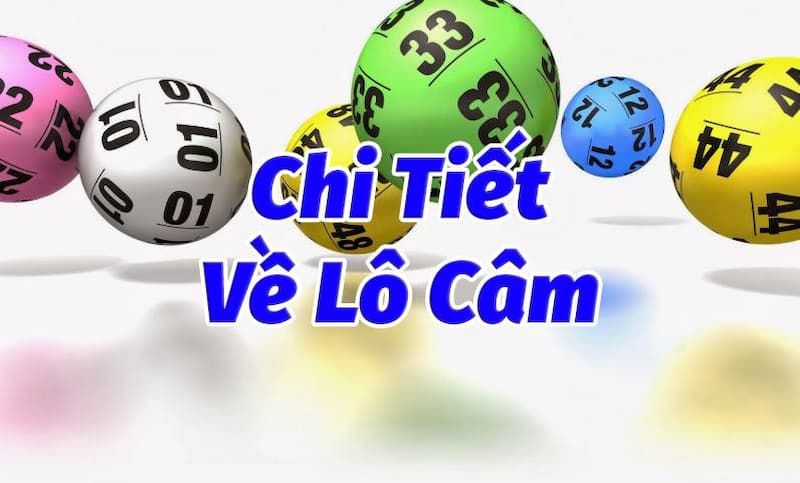 Hướng dẫn cách chơi lô câm đơn giản nhất