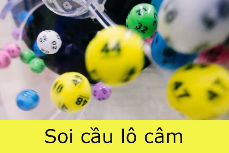 Những điều cần phải lưu ý khi mà chơi lô câm