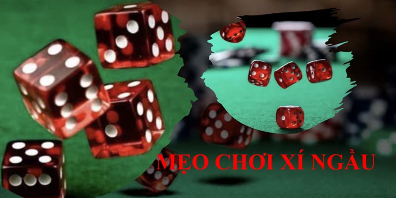 Tìm hiểu mẹo hay chơi Xí ngầu chi tiết cho Newbie